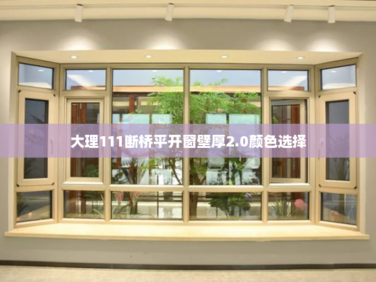 大理111断桥平开窗壁厚2.0颜色选择